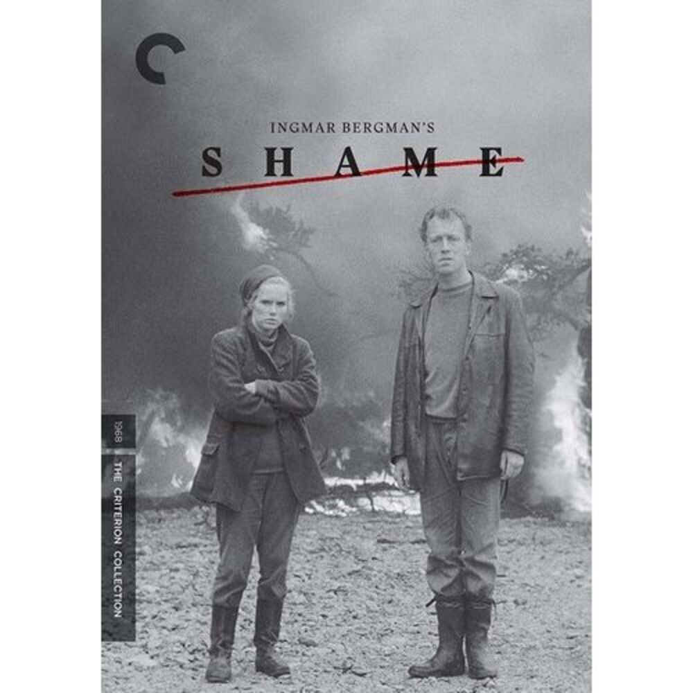 Shame (Criterion Collection)  DVD